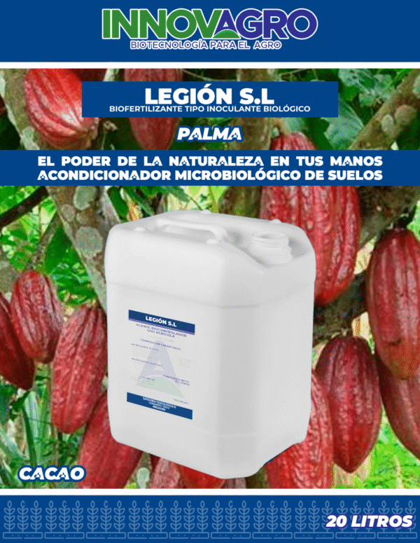 LEGION S.L.
